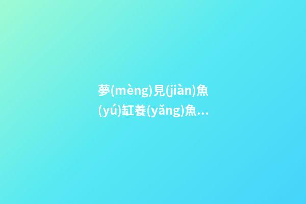 夢(mèng)見(jiàn)魚(yú)缸養(yǎng)魚(yú)　周公解夢(mèng)之夢(mèng)到魚(yú)缸養(yǎng)魚(yú)